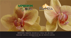 Desktop Screenshot of gamberoni.com